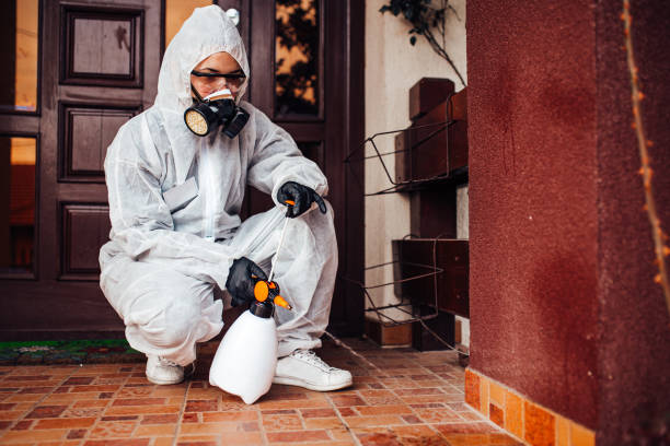 Reliable Wasp Removal contractor in Conway, SC by Show Me Pest Control